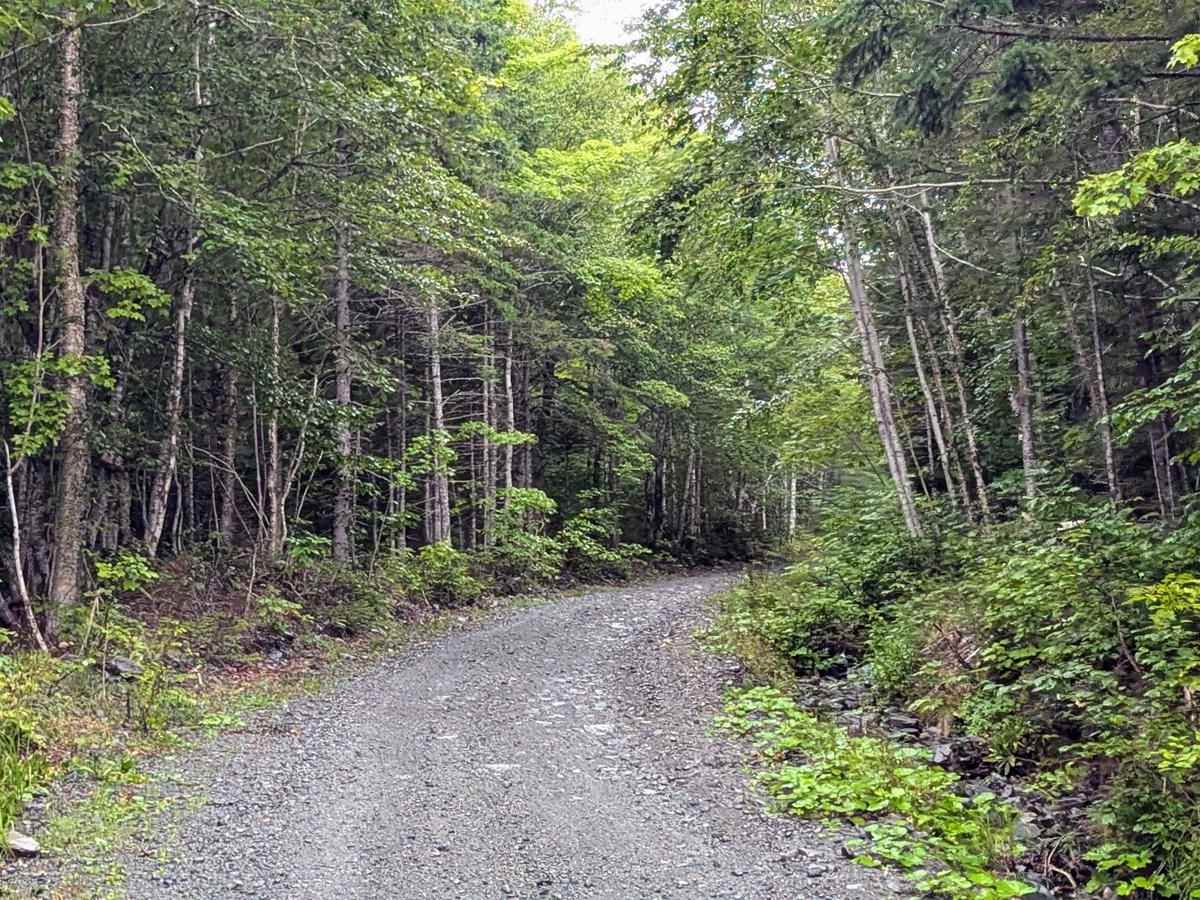 Browns Mountain Road photo 3
