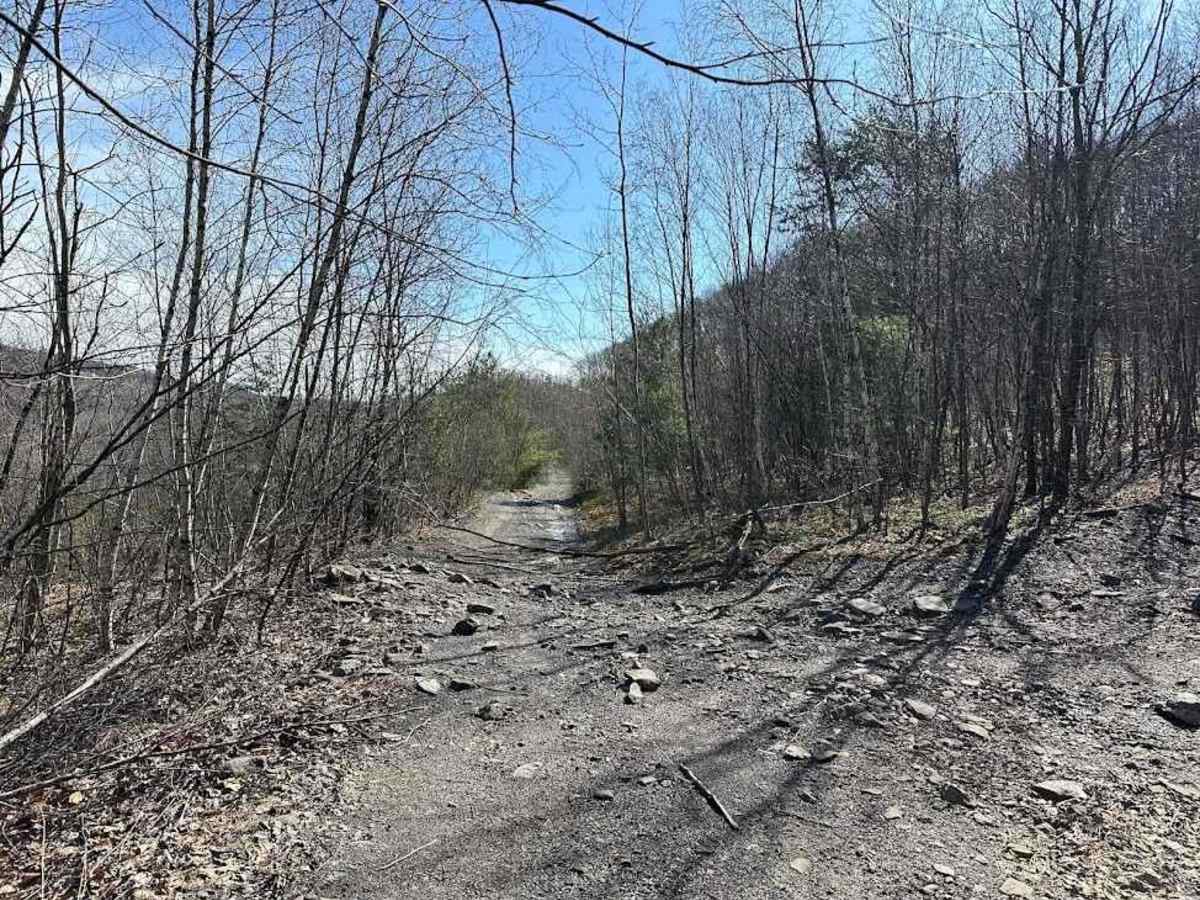 St. Keirns 18 trail photo