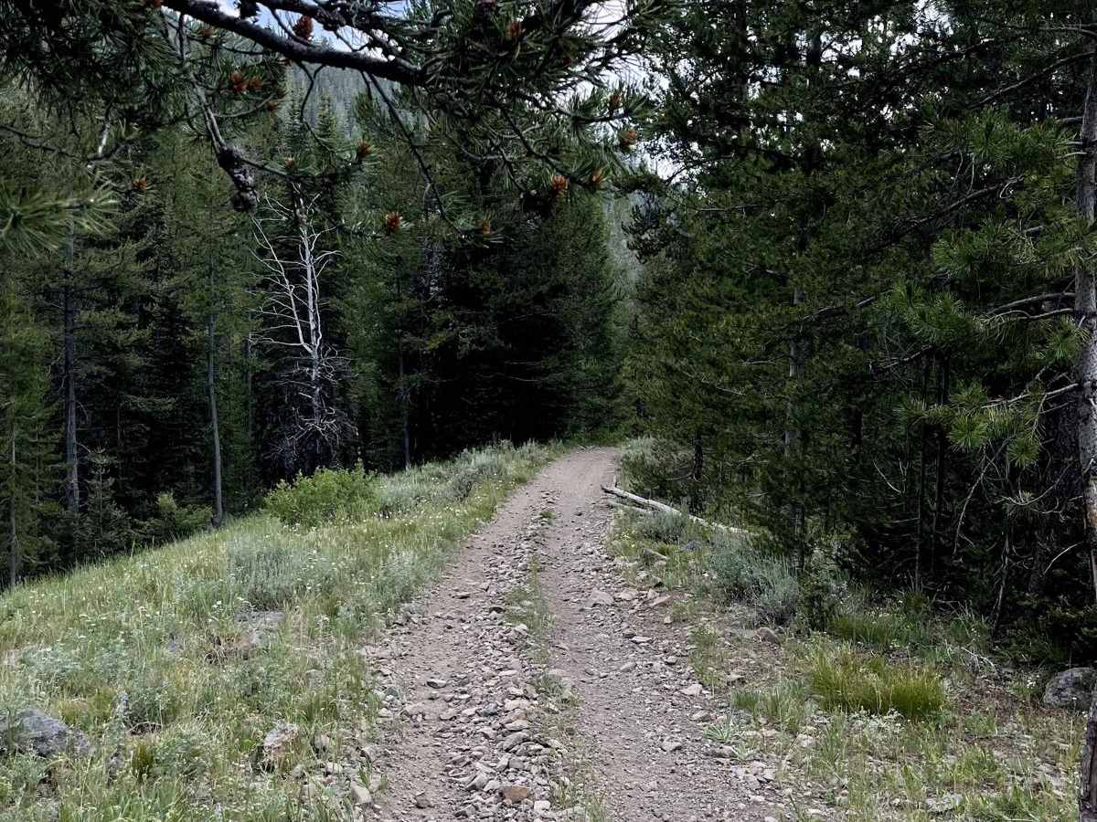Rainbow Creek ATV photo 6