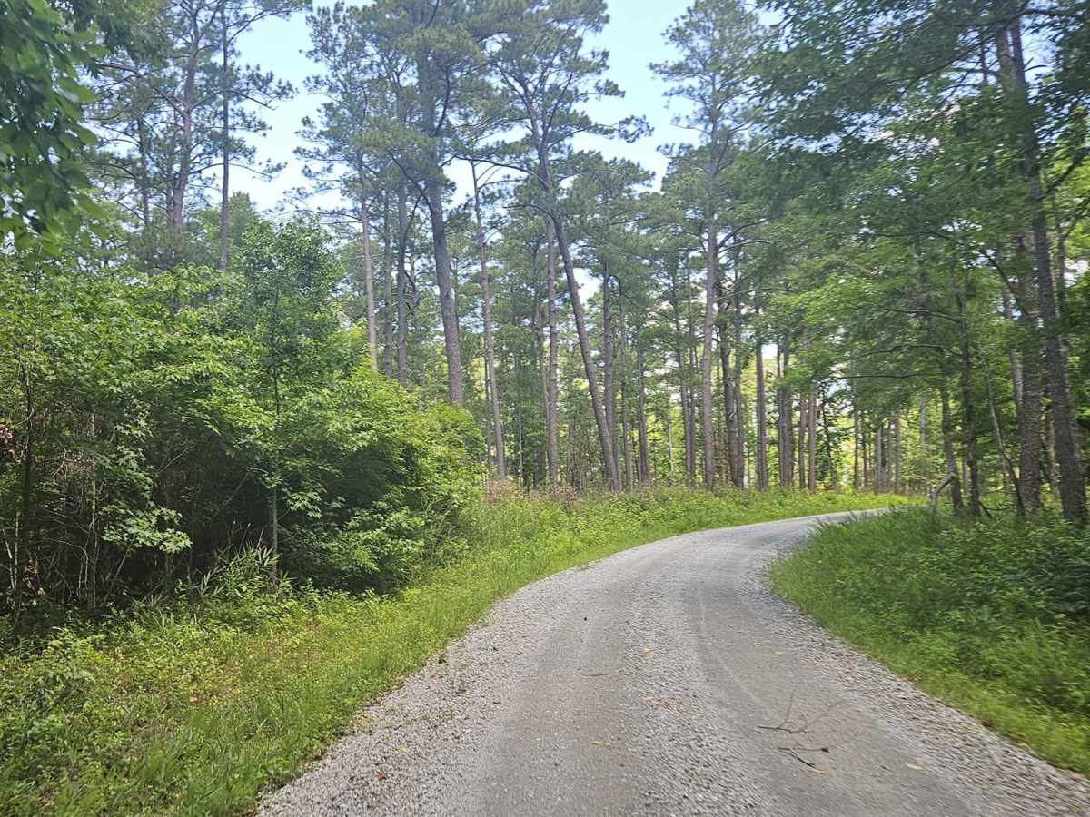 Southwest Croatan National Forest Loop photo 6