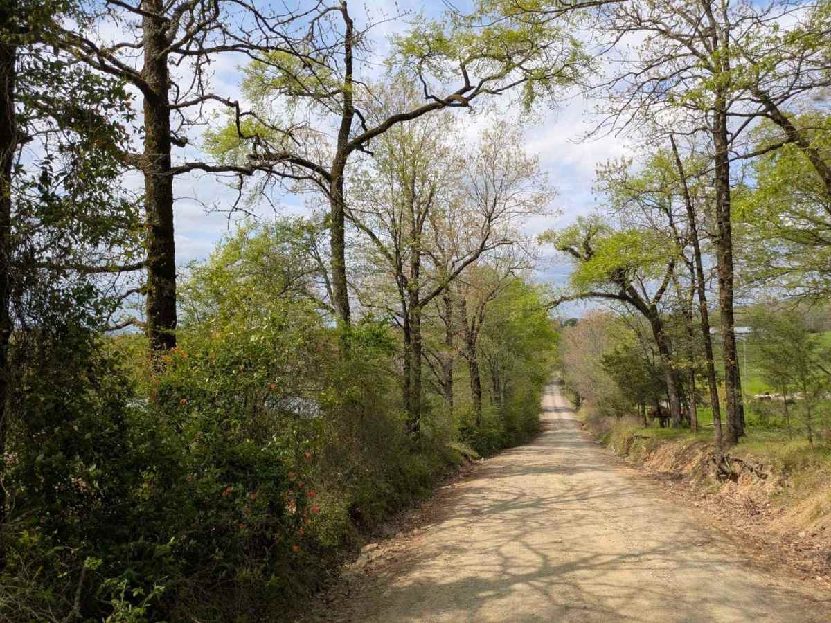 Clearwater Road photo 6