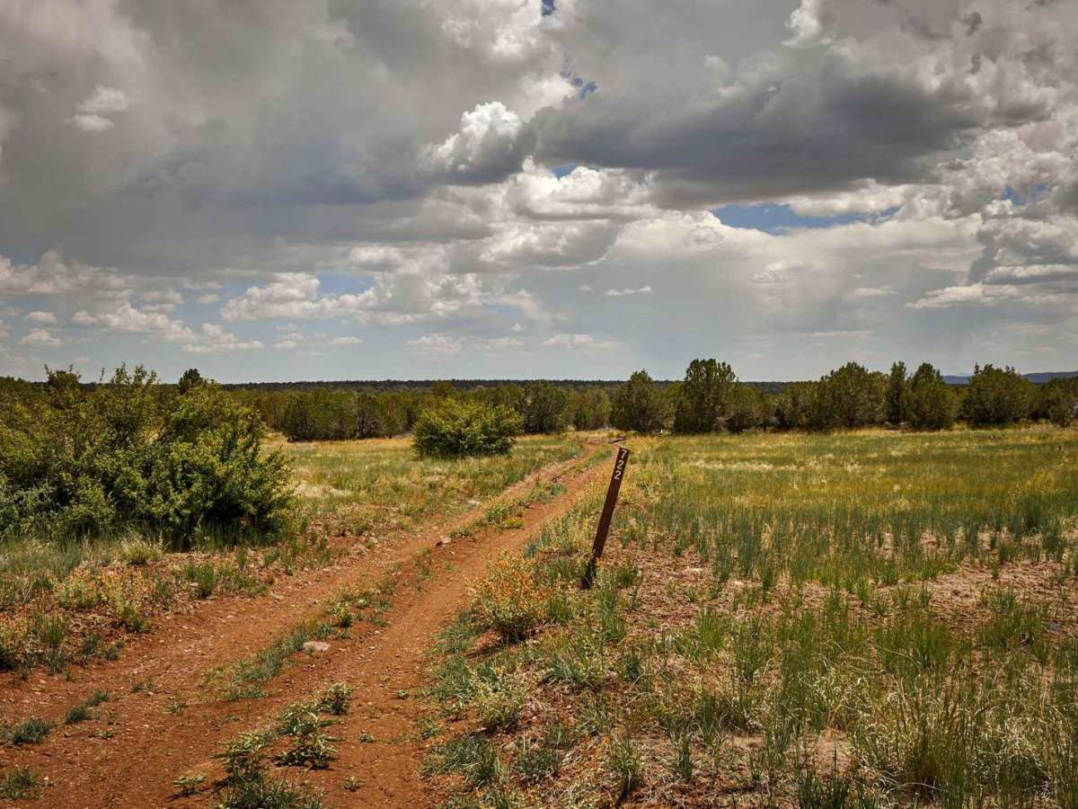 Antelope Wash trail photo