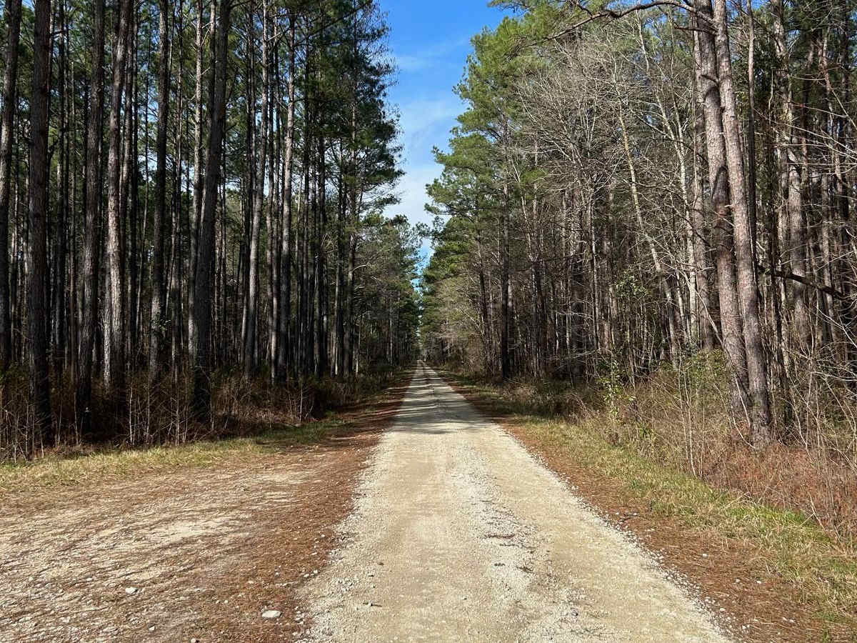 New Hope Road - FSR177 photo 3