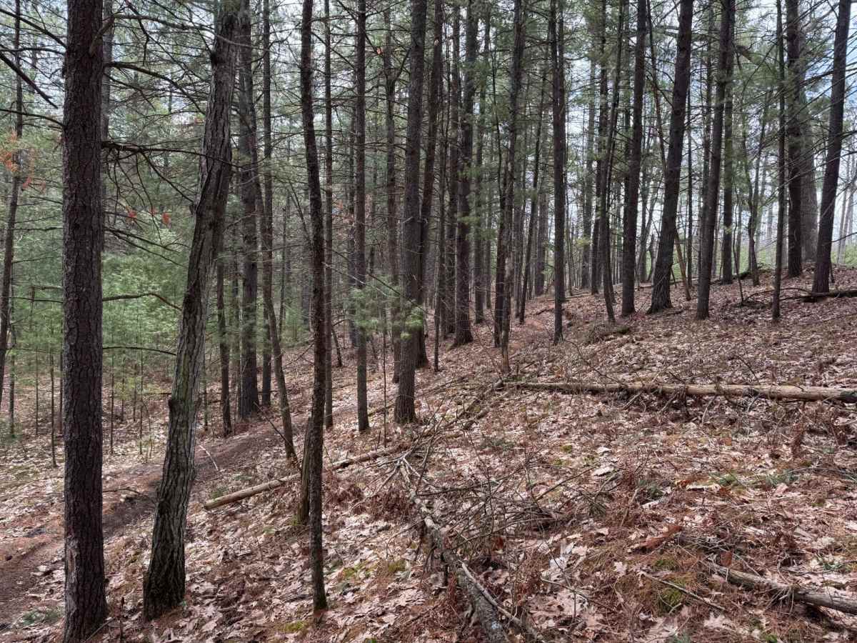 Grand Traverse North photo 3
