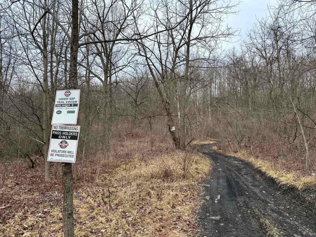 Locust Gap 9 photo 3