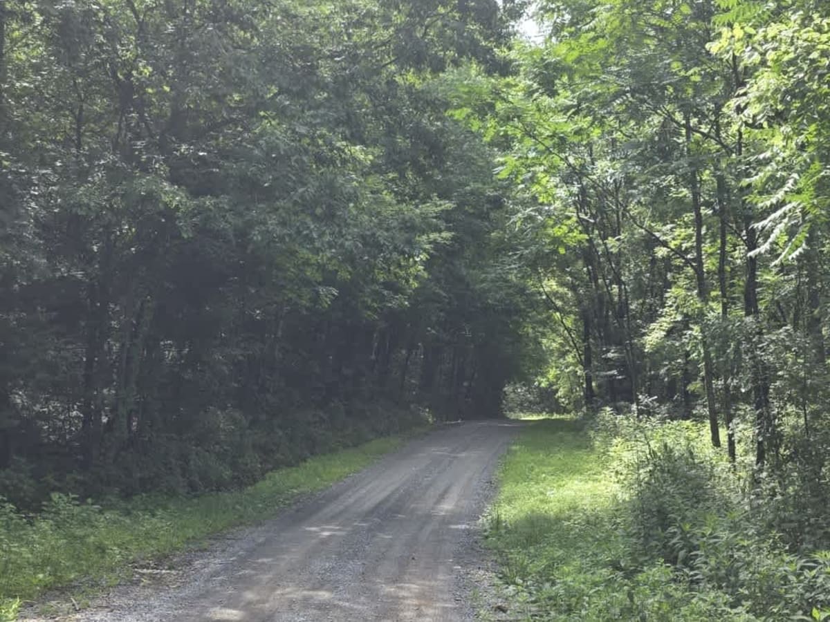 Gravley Hill Road - Macon County Tour photo 3