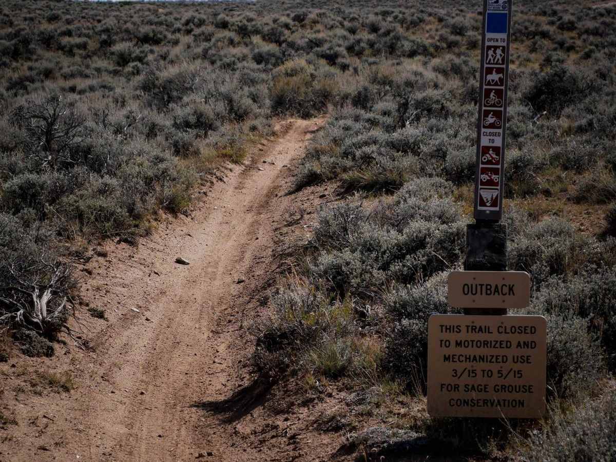 Outback photo 5