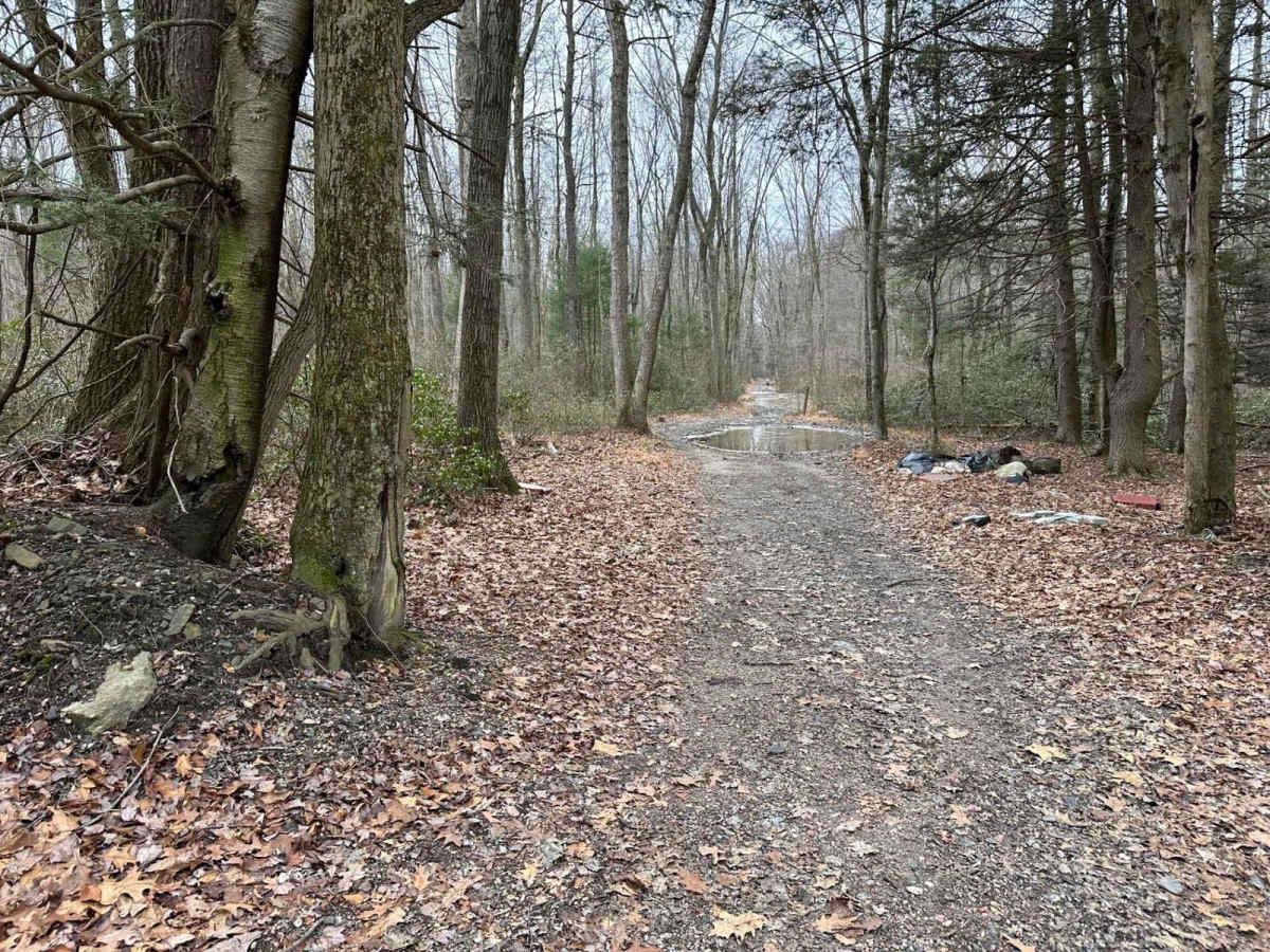 Ashland 76 photo 4