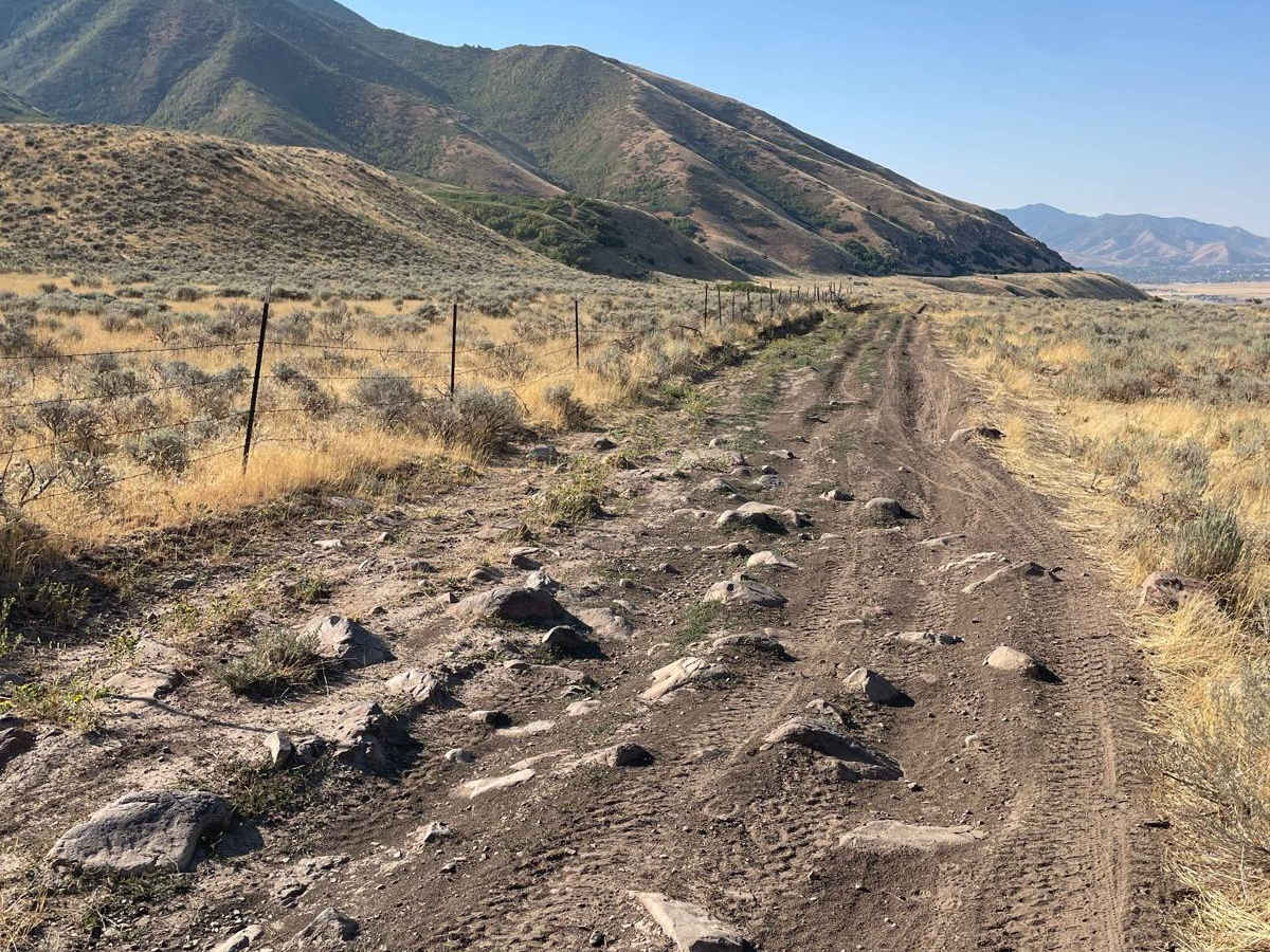 Springs Road Fence Line Trail trail photo