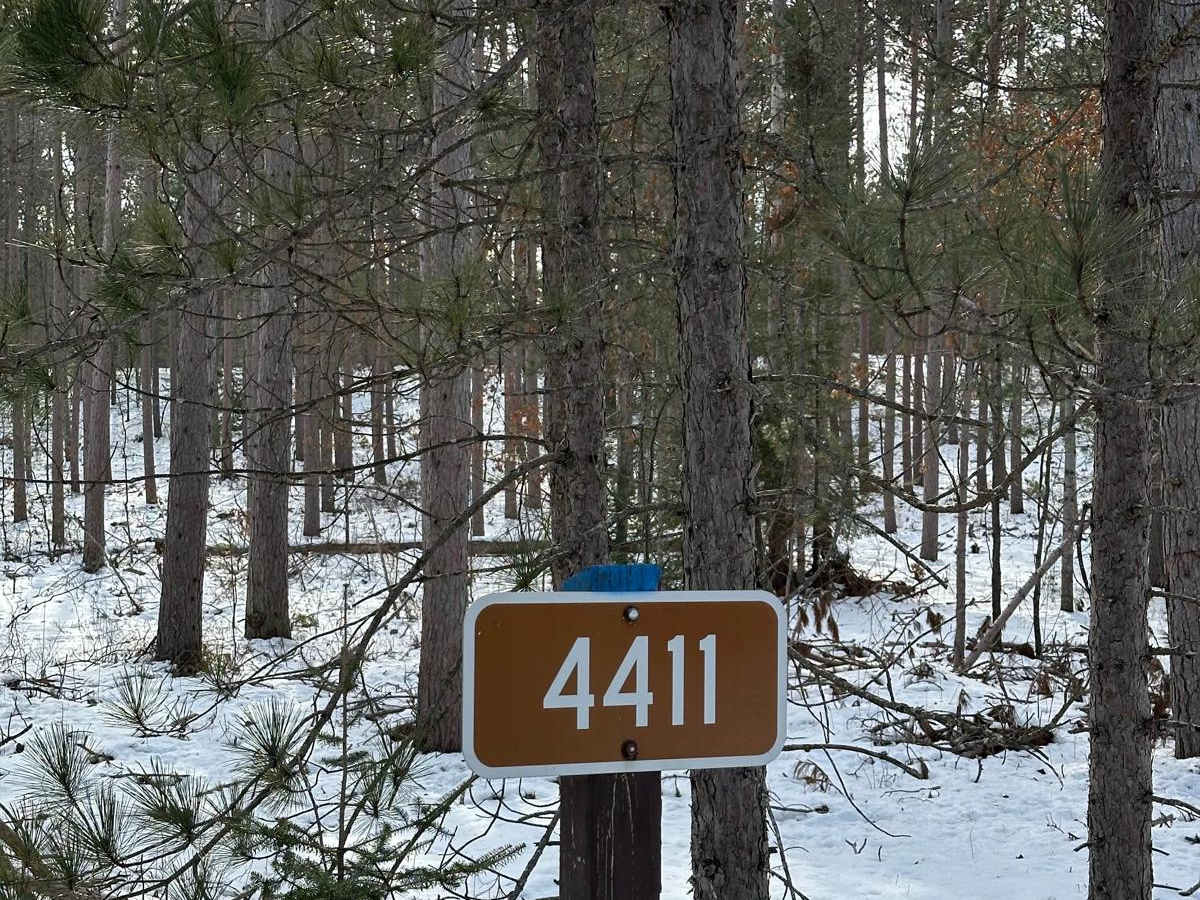 FS 4411 trail photo
