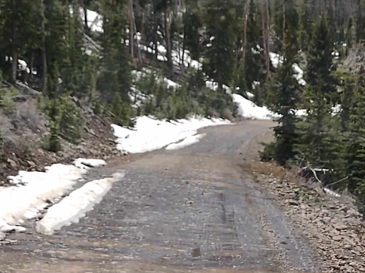 Cove Mountain Road (FS# 40068) photo 6