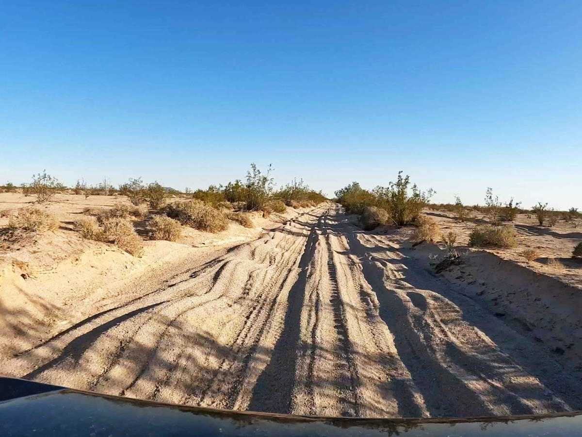 Dunes Vista photo 2