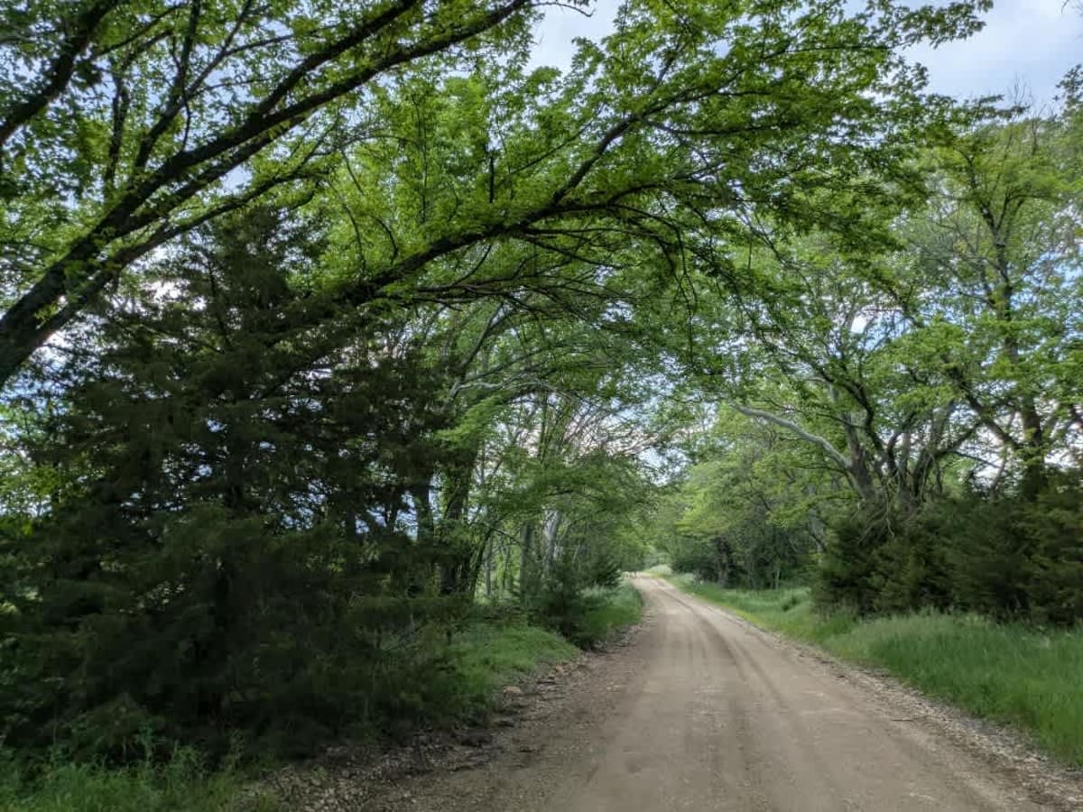Neahring Ranch trail photo