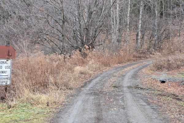 Bigelow Hill Road