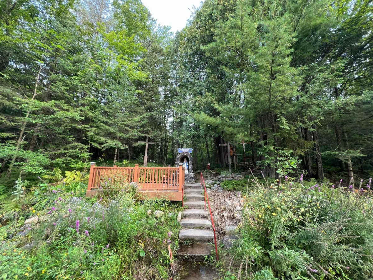 Goodman Park Road - FS 2136 photo 6