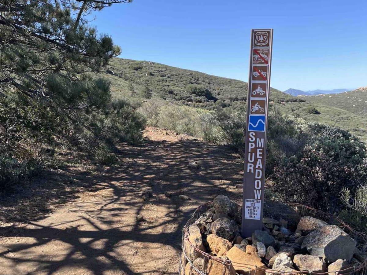 Spur Meadow photo 6