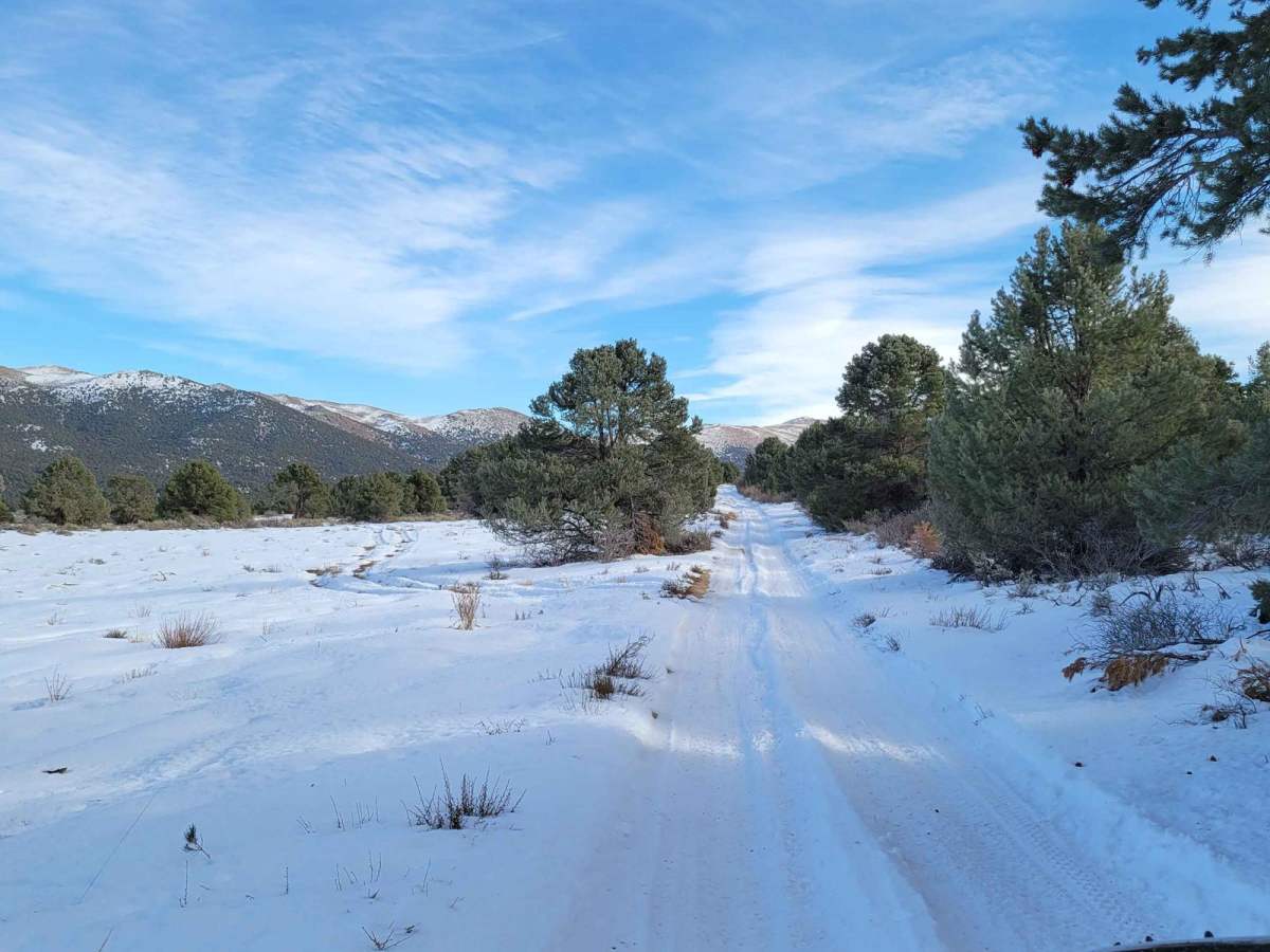 Big Buck Meadows Trail photo 6