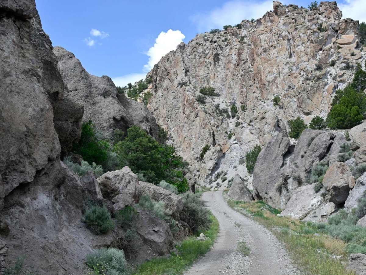 Cove Fort-Dry Creek/PST76 trail photo