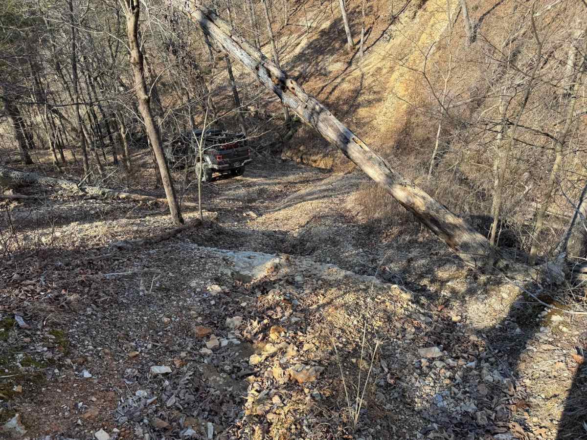 Red 415 photo 2