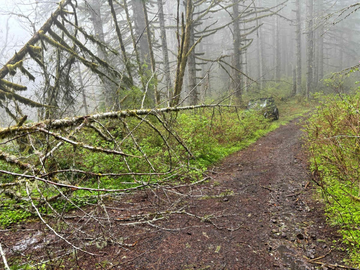 Bell Mountain to Rye Mountain photo 5