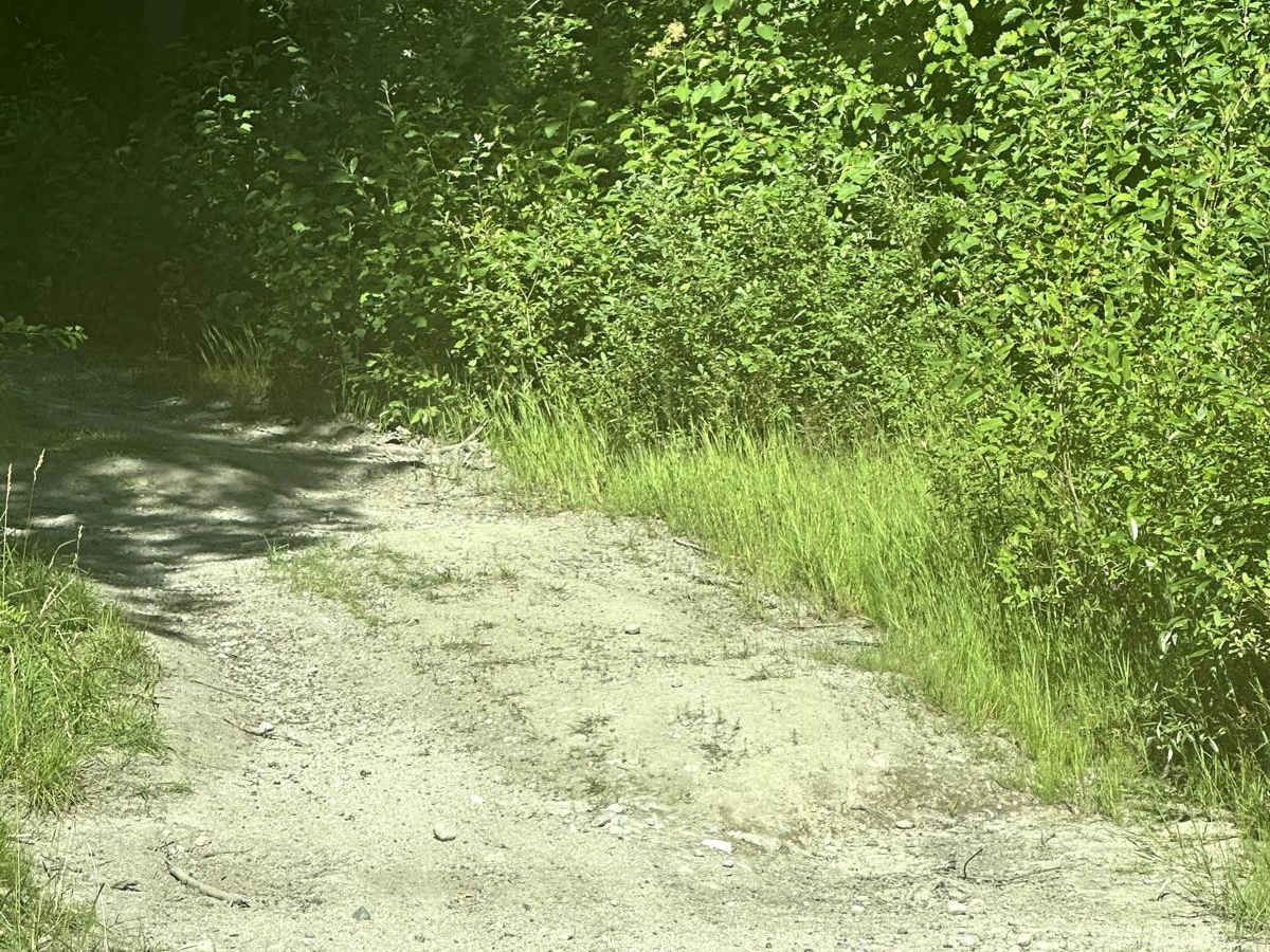 Chiwawa Loop Trail photo 5