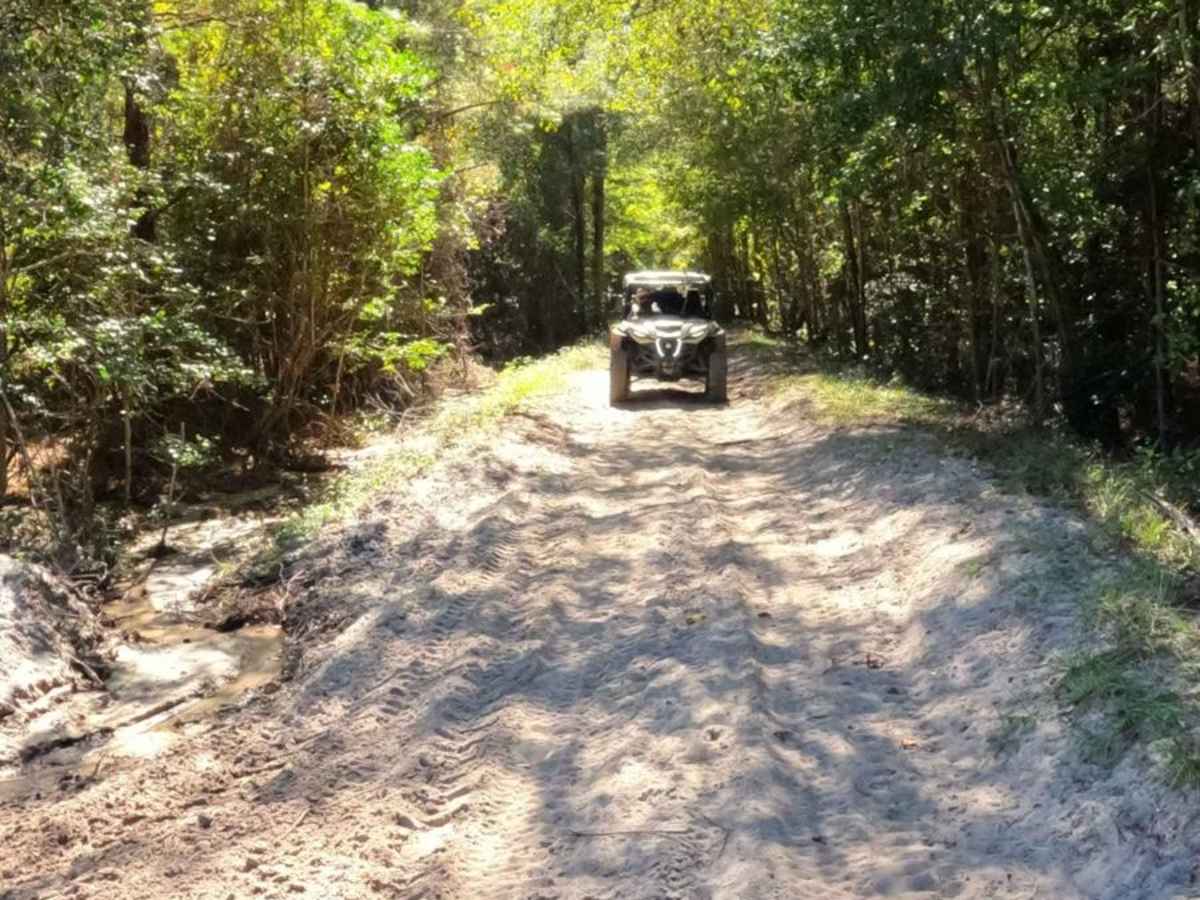 Radke Road photo 4