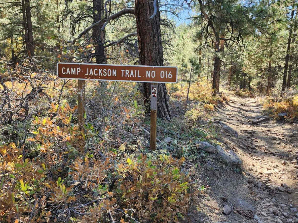 Camp Jackson Trail trail photo
