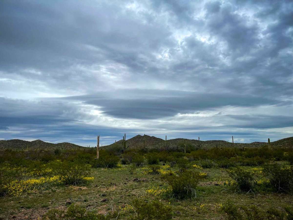 Jackrabbit Trail photo 4