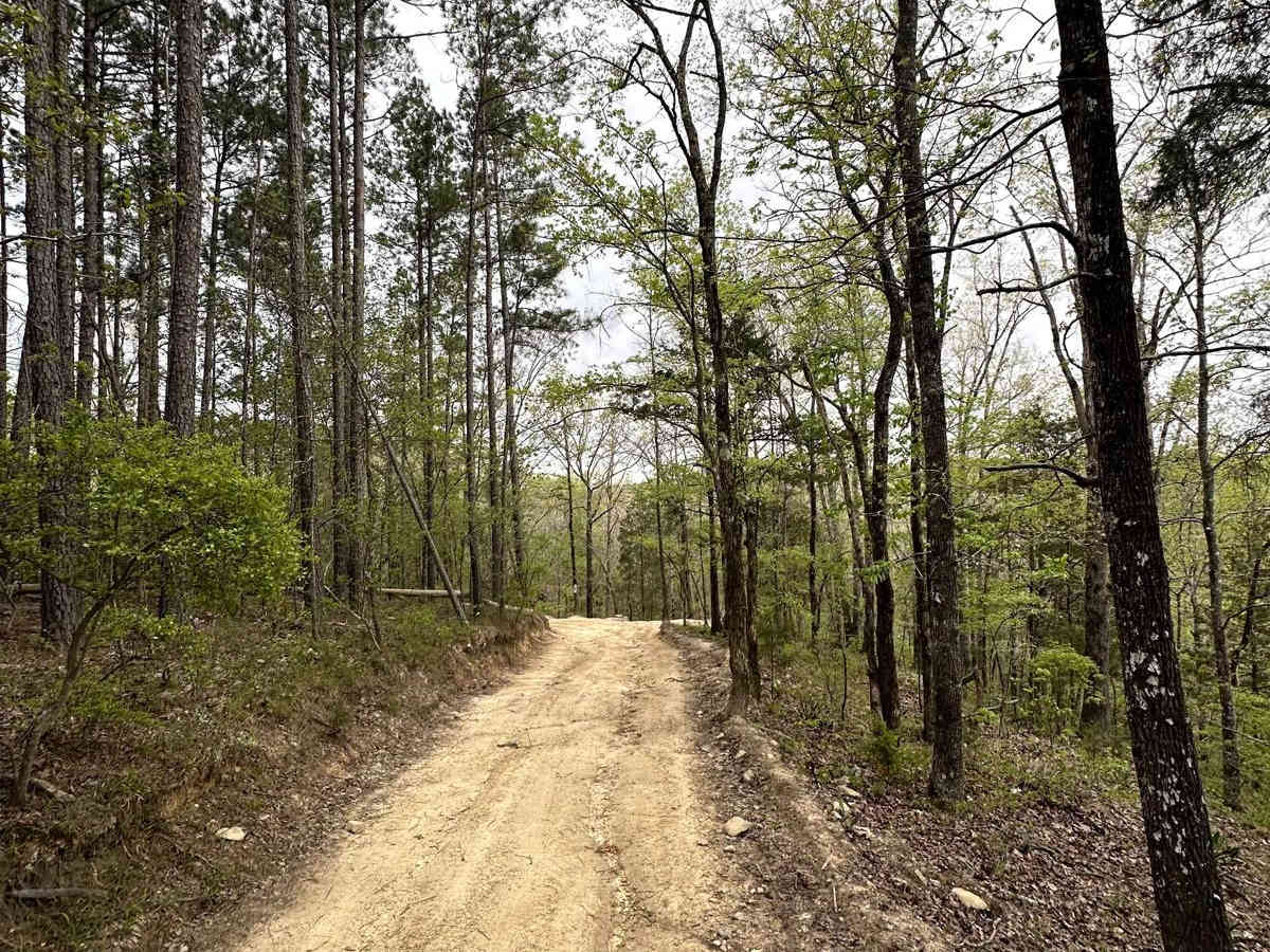 Trail 18 photo 2