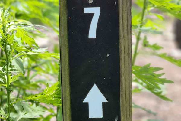 Trail 7 - Rock Run Recreation Area