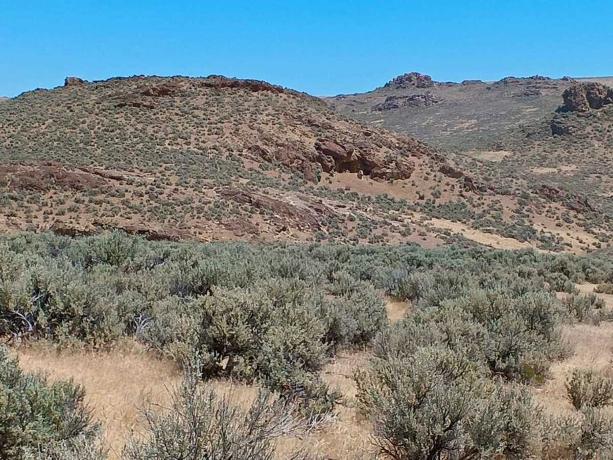 Three Fingers Gulch Trail photo 5