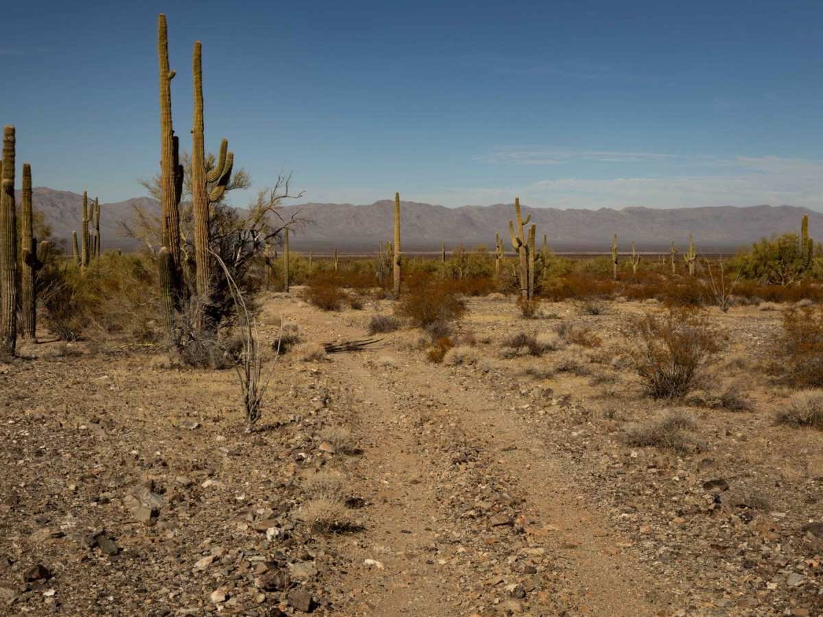 21183 Trail photo 4
