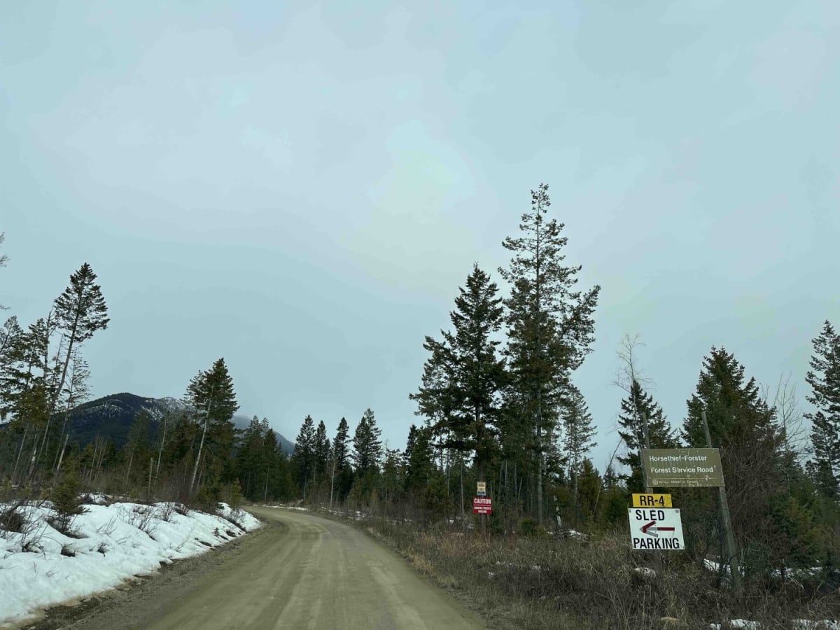Forester Creek to Snowmobile Parking photo 4