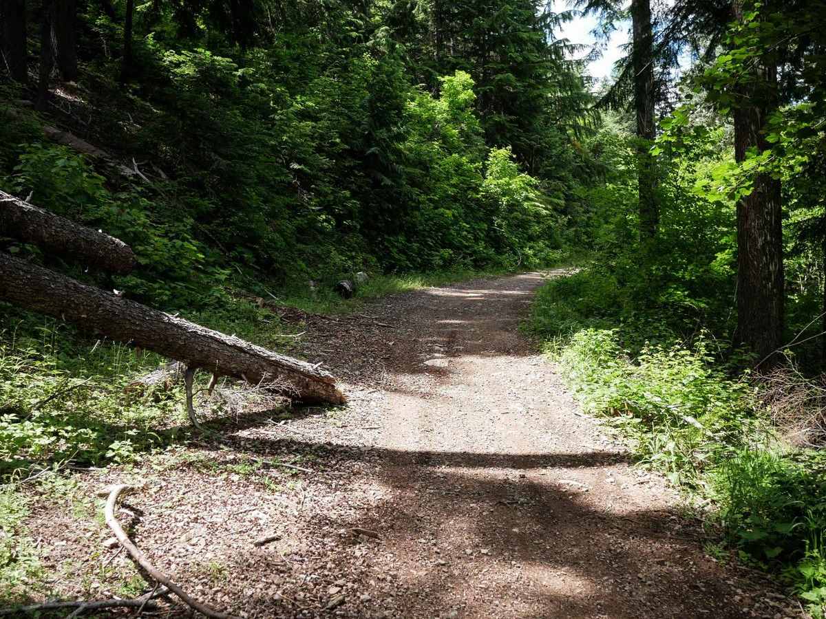 South Canfield OHV photo 6