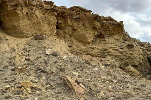 Cabezon Road