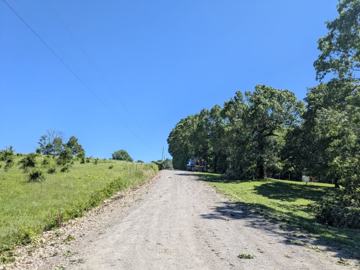 South 460 photo 6