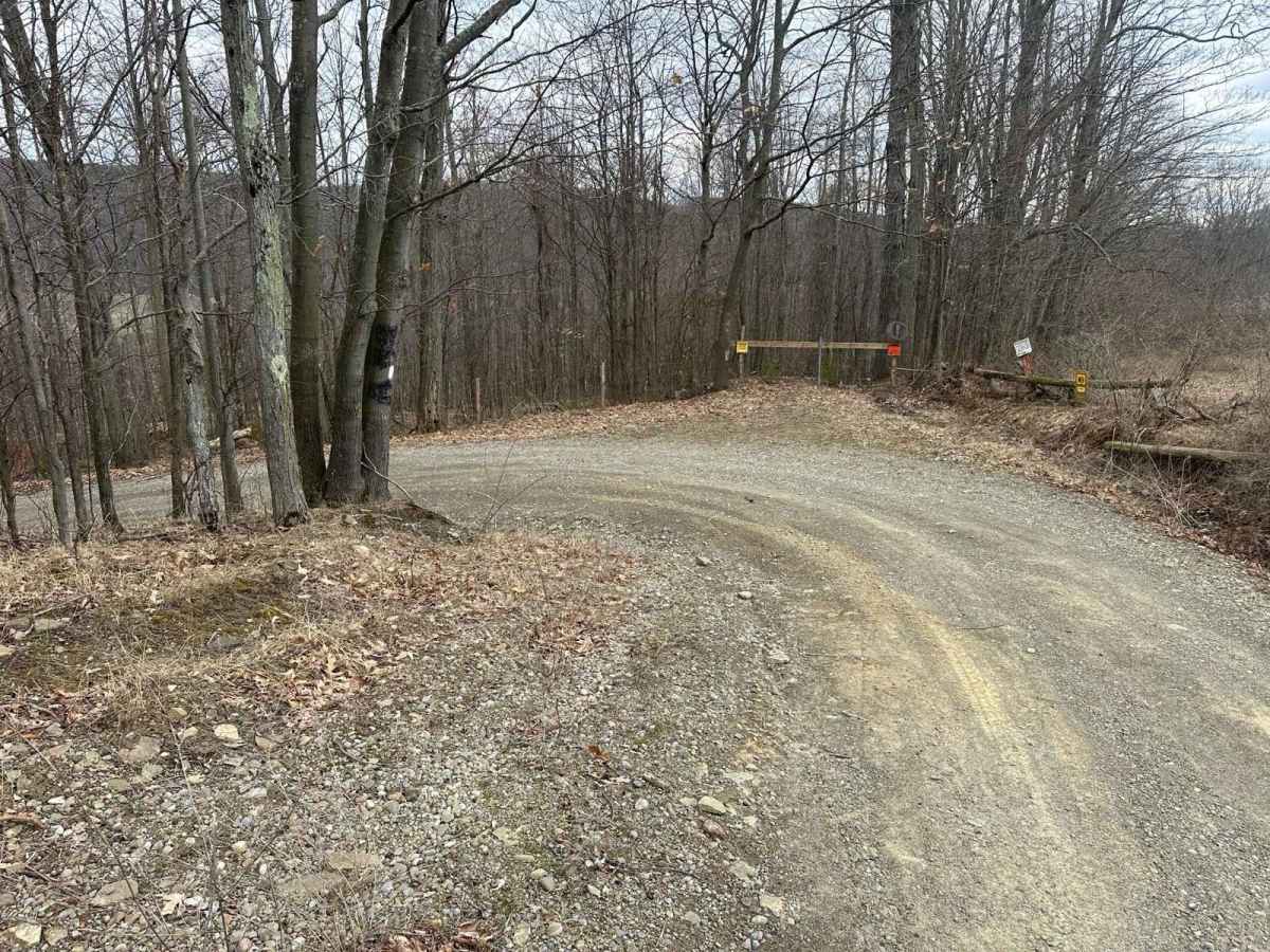 Spencer Hill Road photo 4
