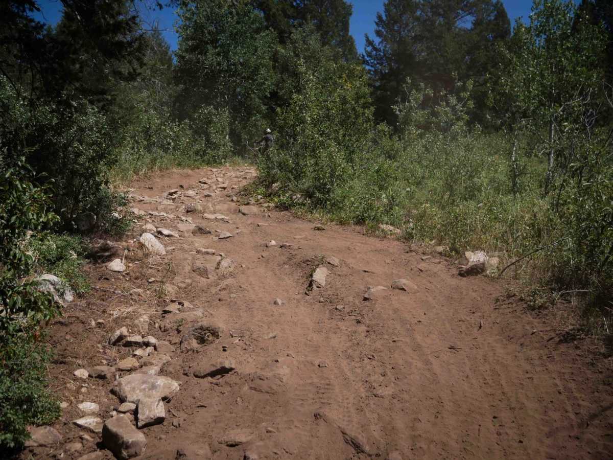 Dry Fork - Meadow Springs #5226 trail photo