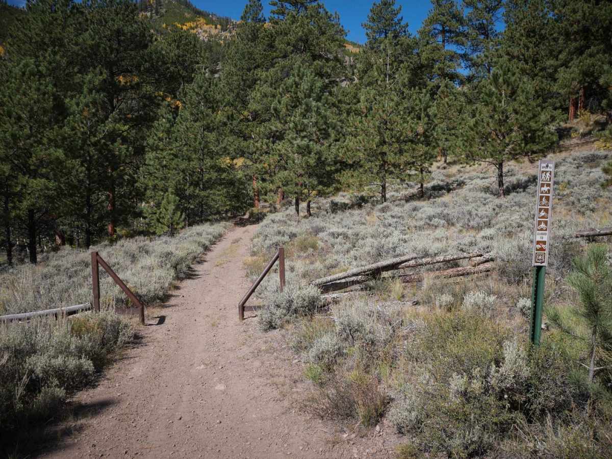 643 ATV Trail photo 4