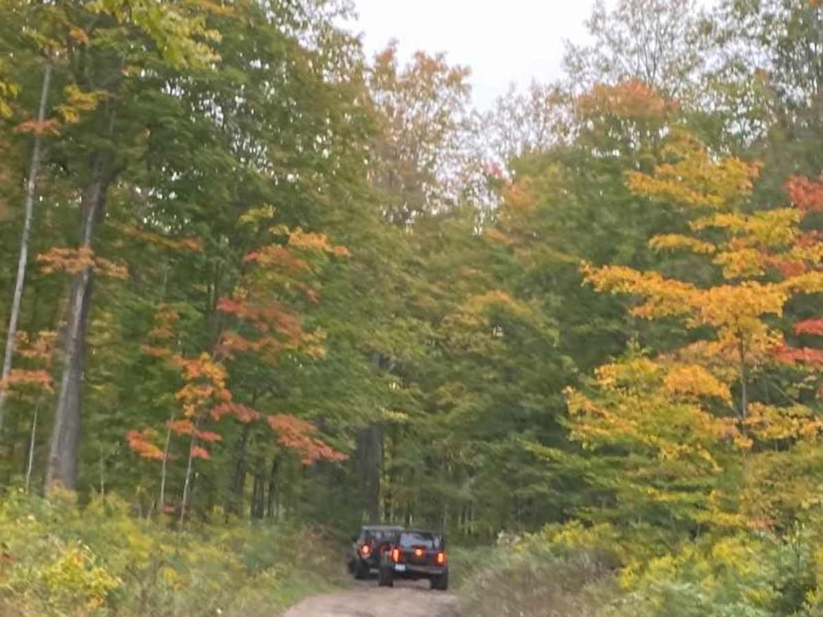 Jeep Route 9995183 photo 4