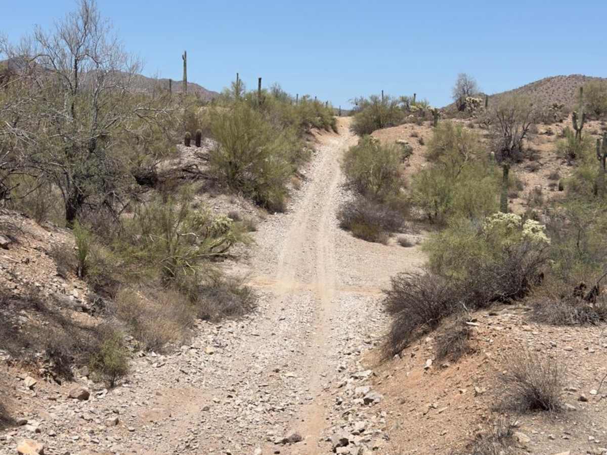 Sandman trail photo
