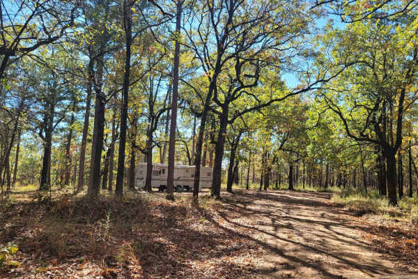 Deer Camp
