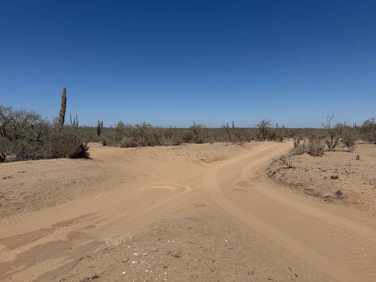 Estero Loop photo 5