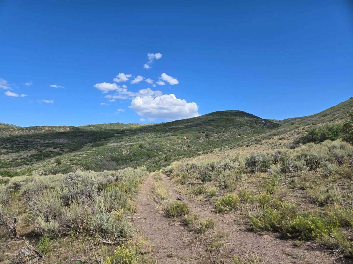 Trail 4994 - FSR 41750 photo 5