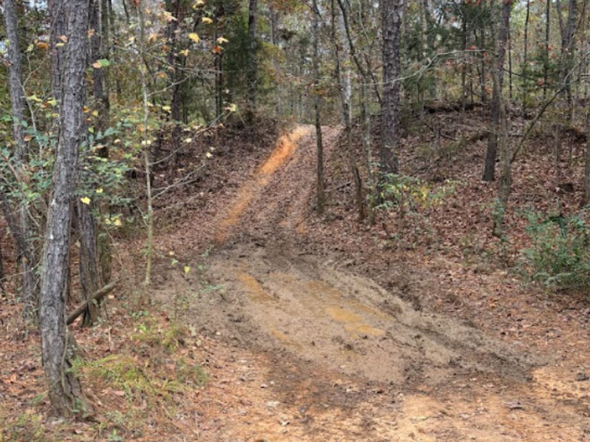 51 trail photo