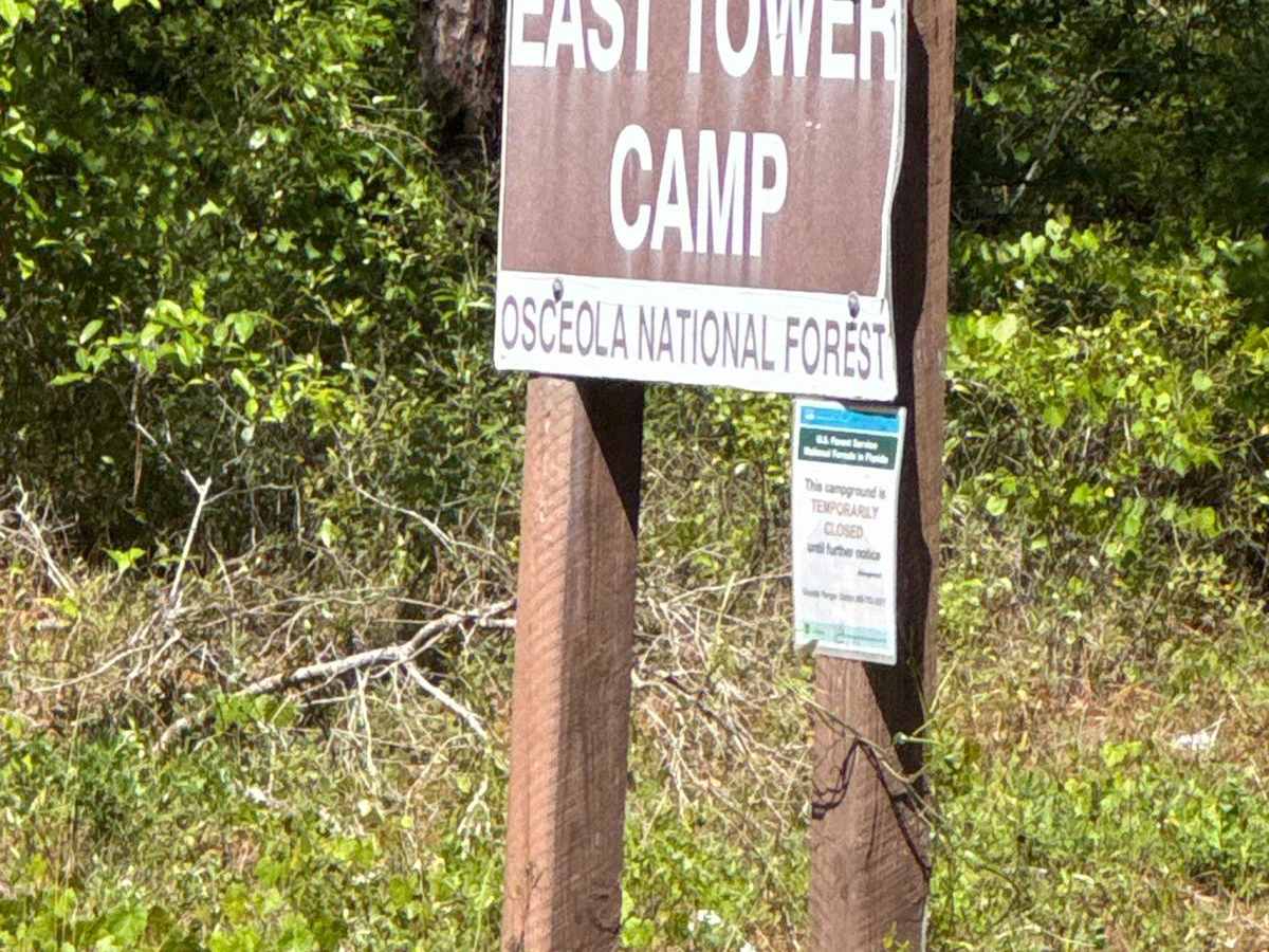 East Tower - Osceola NF 202 photo 6