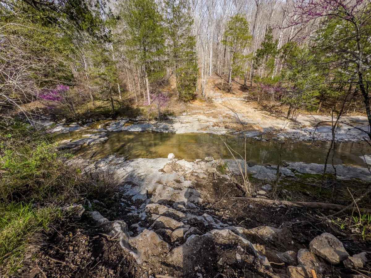 Little Coon River Trail photo 5