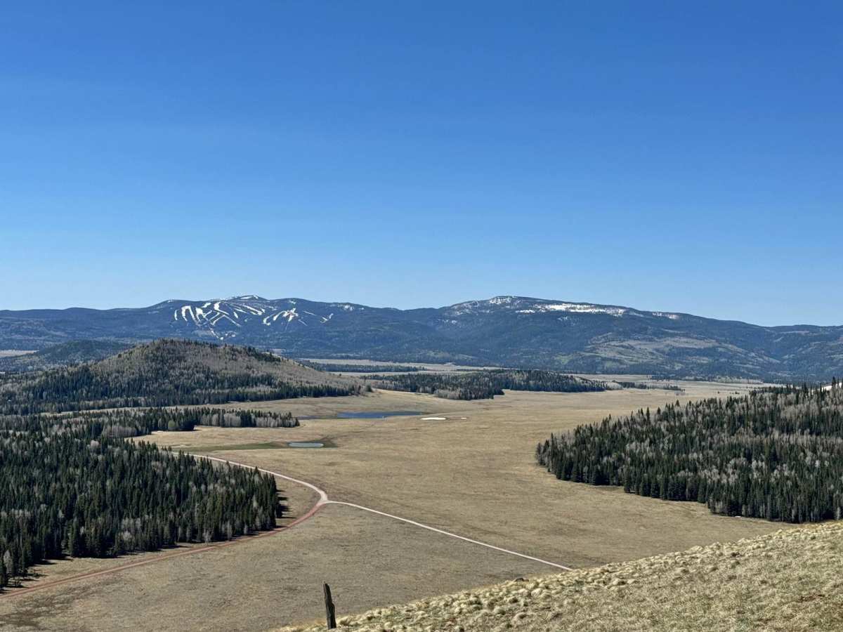 Carnero Creek Trail photo 3