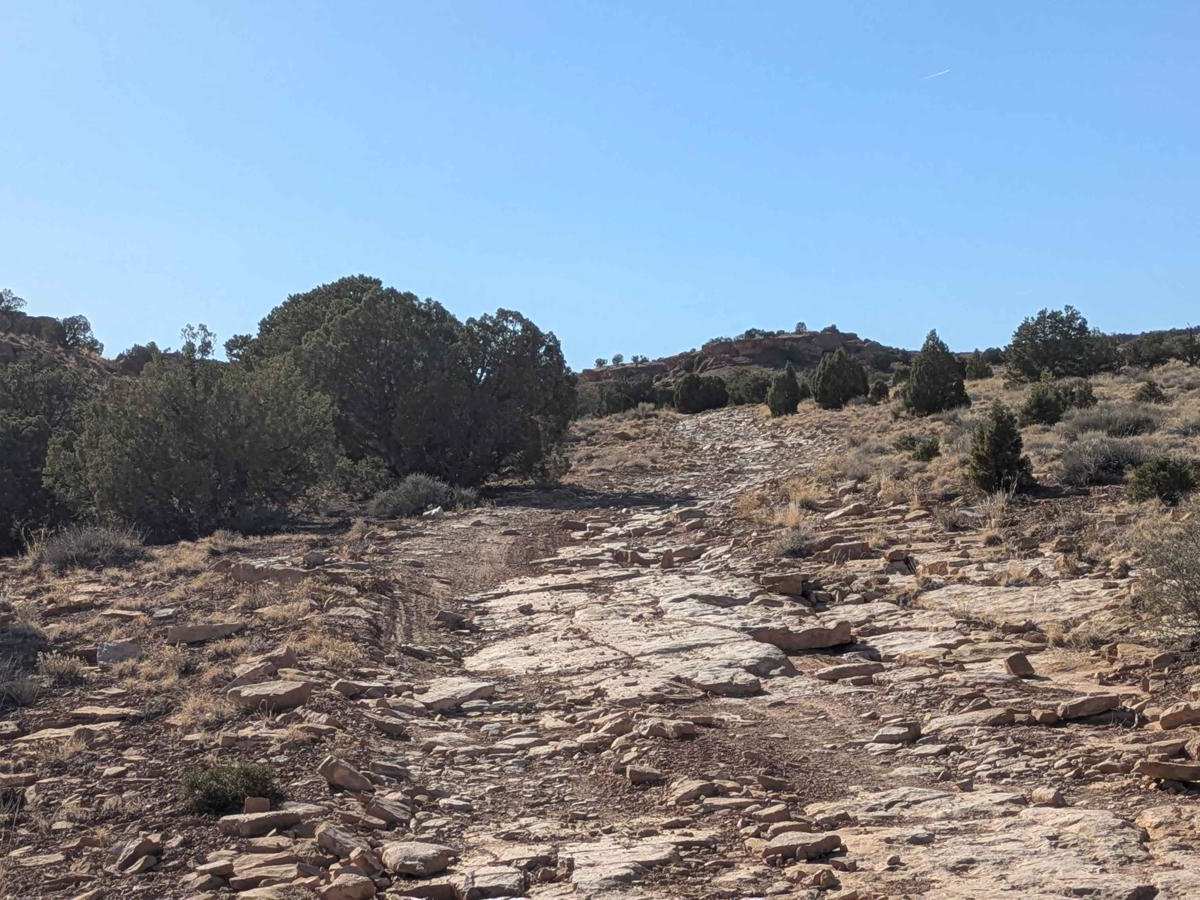 BLM 846 photo 3