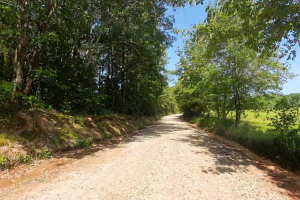 Panther Creek Road